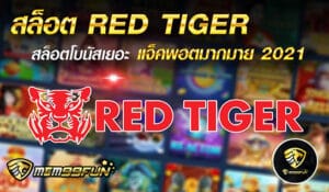 สล็อต RED TIGER - MGM99WIN