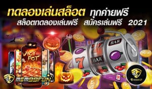 ทดลองเล่นสล็อต - MGM99WIN